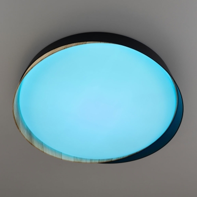 Citilux BONNY CL754351G LED RGB Светильник с пультом Черный+Клён