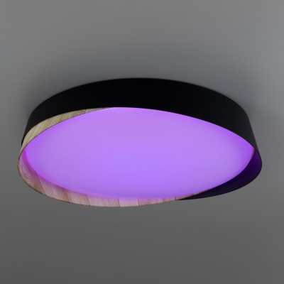Citilux BONNY CL754351G LED RGB Светильник с пультом Черный+Клён