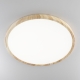 Citilux БейсикCL738322V LED Светильник накладной Клён