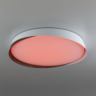 Citilux BONNY CL754450G LED RGB Светильник с пультом Белый + Венге
