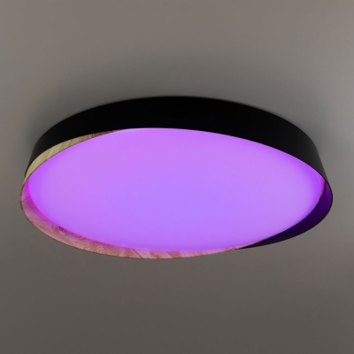 Citilux BONNY CL754451G LED RGB Светильник с пультом Чёрный + Клён