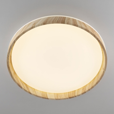Citilux ENZO CL753452G LED RGB Светильник с пультом Клён