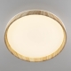 Citilux ENZO CL753452G LED RGB Светильник с пультом Клён