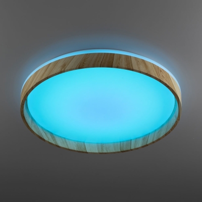 Citilux ENZO CL753452G LED RGB Светильник с пультом Клён