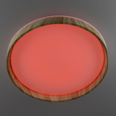 Citilux ENZO CL753452G LED RGB Светильник с пультом Клён