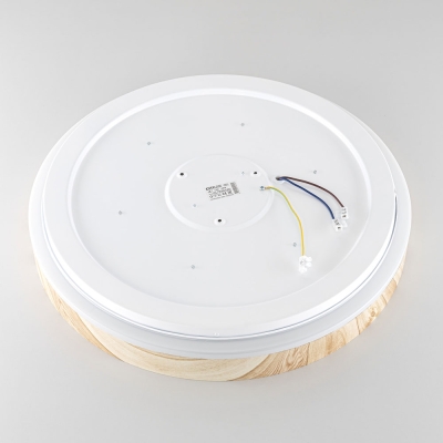 Citilux ENZO CL753452G LED RGB Светильник с пультом Клён