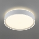Citilux BOSS CL751250G LED RGB Светильник с пультом Белый