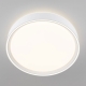 Citilux BOSS CL751250G LED RGB Светильник с пультом Белый