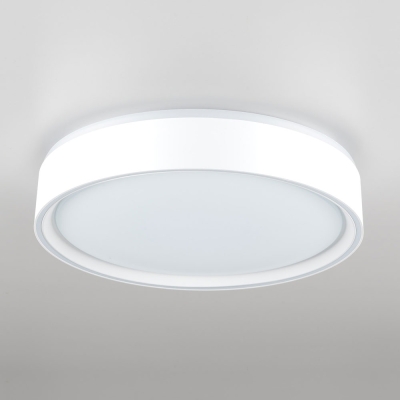 Citilux BOSS CL751250G LED RGB Светильник с пультом Белый