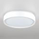 Citilux BOSS CL751250G LED RGB Светильник с пультом Белый