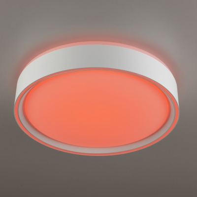 Citilux BOSS CL751250G LED RGB Светильник с пультом Белый