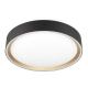 Citilux BOSS CL751251G LED RGB Светильник с пультом Чёрный с Золотом