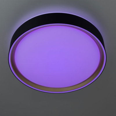 Citilux BOSS CL751251G LED RGB Светильник с пультом Чёрный с Золотом