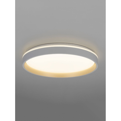 Citilux ENZO CL753450G LED RGB Светильник с пультом Белый + Золото