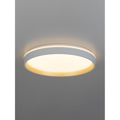 Citilux ENZO CL753450G LED RGB Светильник с пультом Белый + Золото