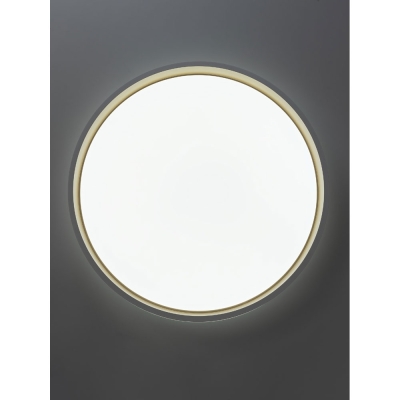 Citilux ENZO CL753450G LED RGB Светильник с пультом Белый + Золото