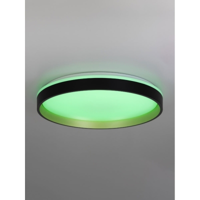 Citilux ENZO CL753451G LED RGB Светильник с пультом Черный + Золото