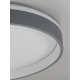 Citilux ENZO CL753453G LED RGB Светильник с пультом Серый + Белый