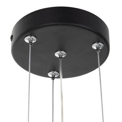 Citilux CL7001 Подвесная арматура Чёрная