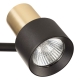 Citilux SAT CL505621 Спот поворотный с выключателем Чёрный+Золото