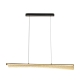 Citilux FANNY CL213121 LED Подвесной светильник с пультом