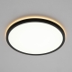 Citilux NORMA CL748321 LED Светильник с подсветкой Чёрный