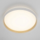 Citilux ENZO CL753510G LED RGB Светильник с пультом Белый + Золото