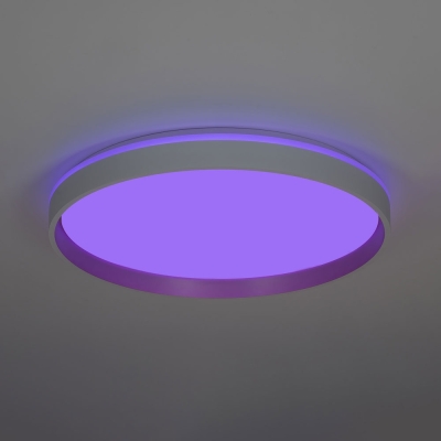 Citilux ENZO CL753510G LED RGB Светильник с пультом Белый + Золото