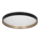 Citilux ENZO CL753511G LED RGB Светильник с пультом Черный + Золото