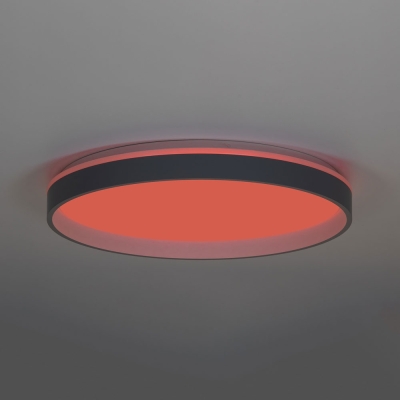 Citilux ENZO CL753513G LED RGB Светильник с пультом Серый + Белый