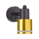 Citilux Bruno CL565514 Спот поворотный Чёрный+Бронза