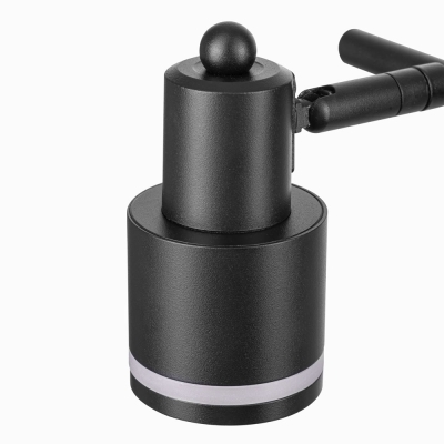 Citilux Bruno CL565521 Спот поворотный Чёрный