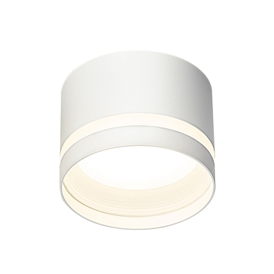 Citilux Hardy CL002C10 Светильник накладной Белый