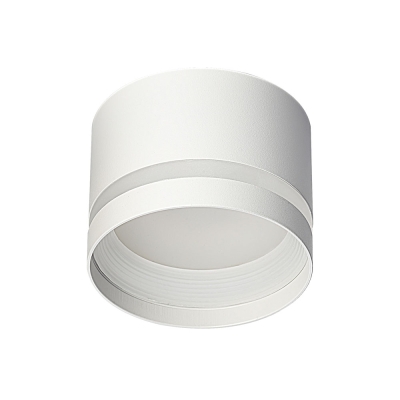 Citilux Hardy CL002C10 Светильник накладной Белый