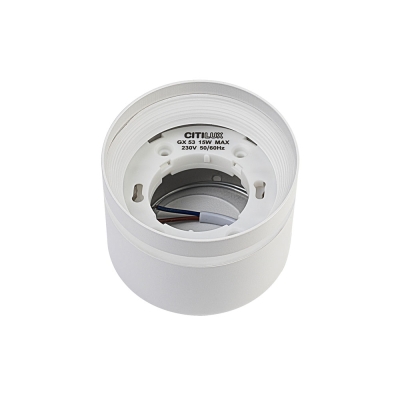 Citilux Hardy CL002C10 Светильник накладной Белый