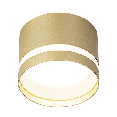 Citilux Hardy CL002C12 Светильник накладной Золото