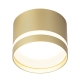 Citilux Hardy CL002C12 Светильник накладной Золото