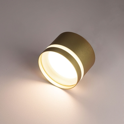 Citilux Hardy CL002C12 Светильник накладной Золото
