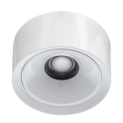 Citilux ROVER CL743060N LED Накладной светильник Белый