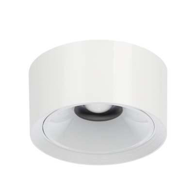 Citilux ROVER CL743060N LED Накладной светильник Белый