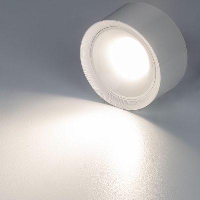 Citilux ROVER CL743060N LED Накладной светильник Белый