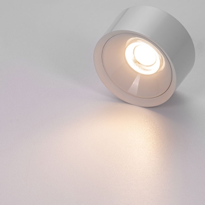 Citilux ROVER CL743090N LED Накладной светильник Белый