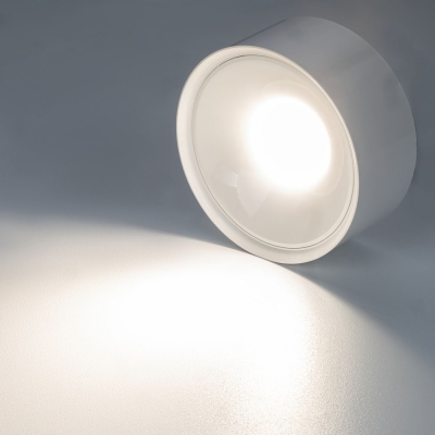 Citilux ROVER CL743150N LED Накладной светильник Белый