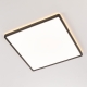 Citilux NORMA CL748K401 LED Светильник с подсветкой Чёрный