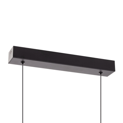 Citilux GLOB CL209131 LED Светильник подвесной Чёрный