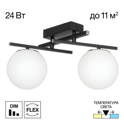 Citilux DORSY CL223122 LED Светильник поворотный Чёрный