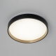 Citilux ETALON CL750241 LED Светильник с подсветкой Чёрный+Золото