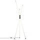 Citilux LUCIA CL217961 Торшер светодиодный Чёрный