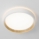 Citilux ETALON CL750180 LED Светильник с подсветкой Белый+Бук