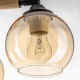 Citilux TIKA CL133131 Люстра поворотная Чёрная